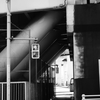 横断歩道