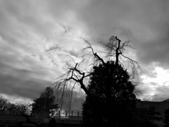 上田城のモンスター？