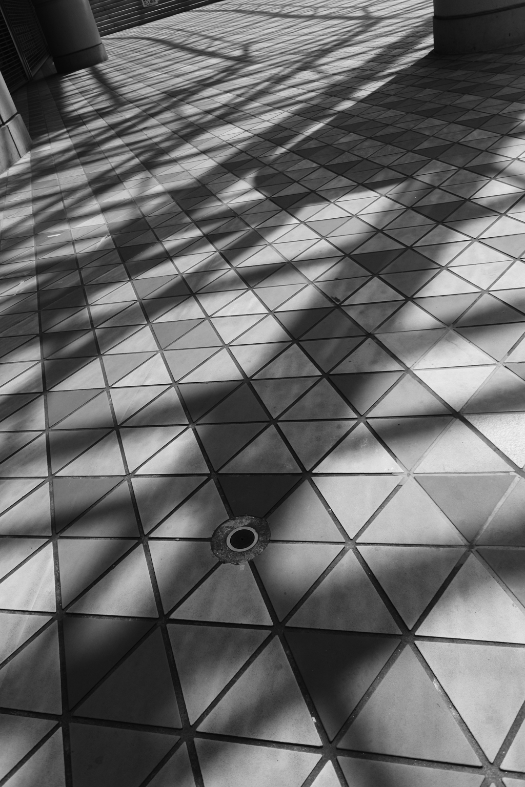 東京ドーム　床に落ちる影