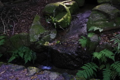 参道の小さな流れ