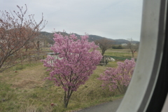 帰りの車窓