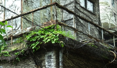 バスから見えてた廃墟