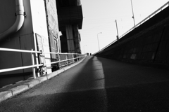 若者たちの行く道