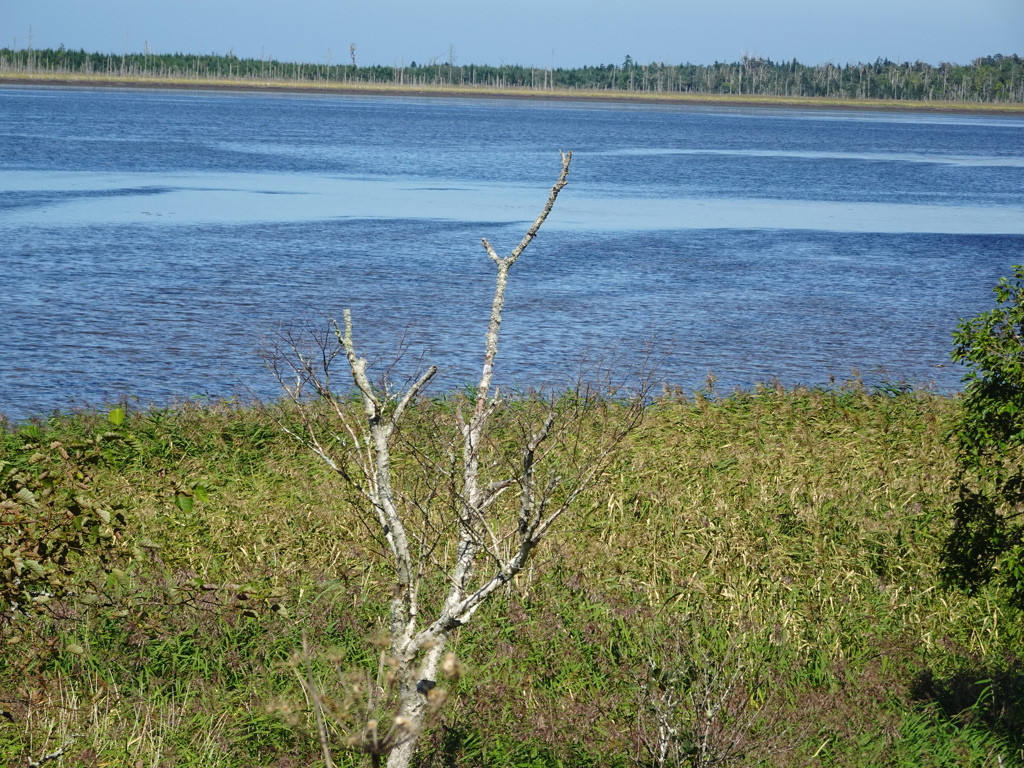 風連湖