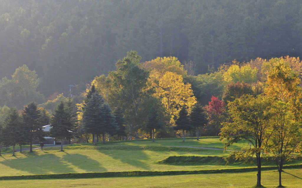 眩しいくらいの陽ざし