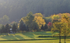 眩しいくらいの陽ざし