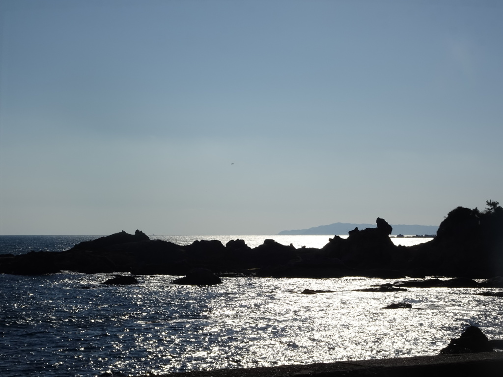 太海にて