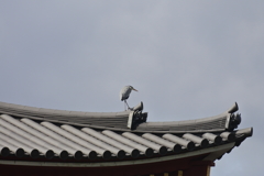 保護色