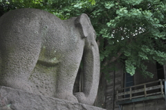 浄土宗　瑞泰寺のぞう