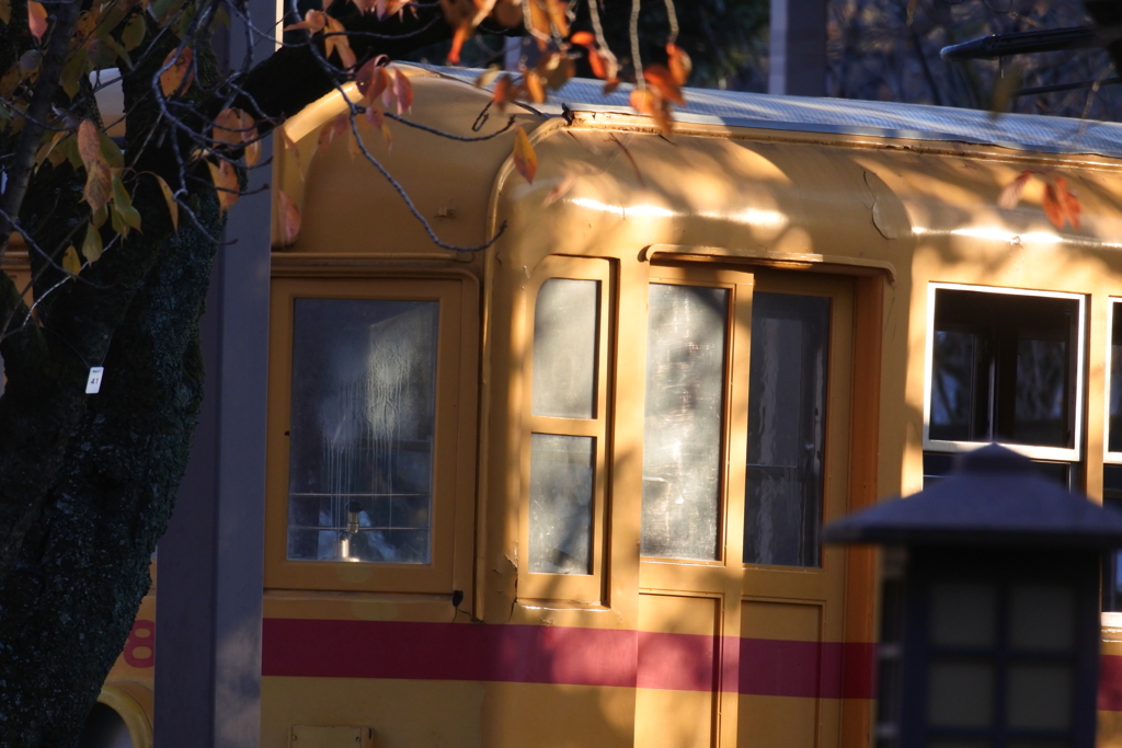 陽だまりで微睡む