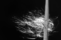 まだ行きたくない