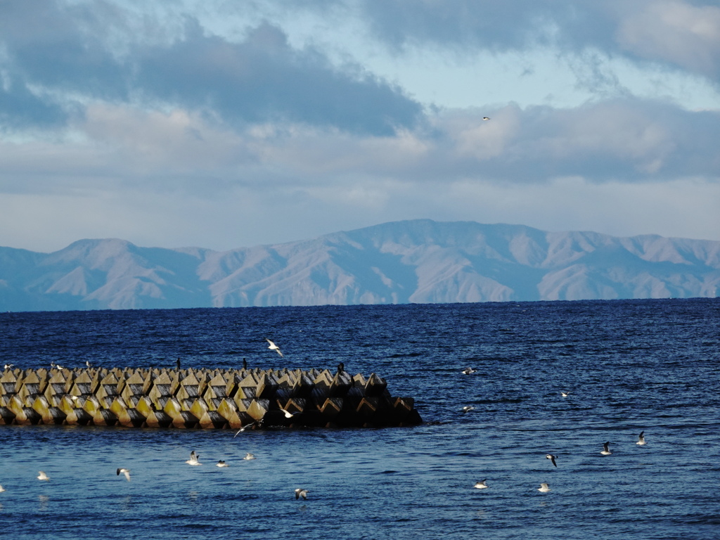 向かいは北海道