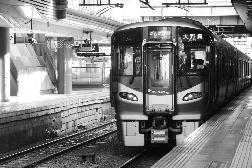 切れ長のまなざし