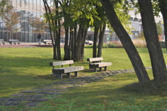 まずは、朝の公園を散策