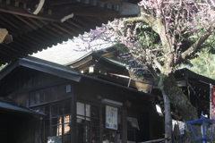 花園稲荷神社　社務所