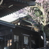 花園稲荷神社　社務所