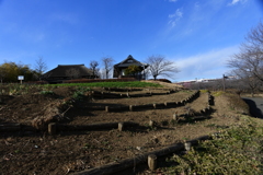 畑のある風景