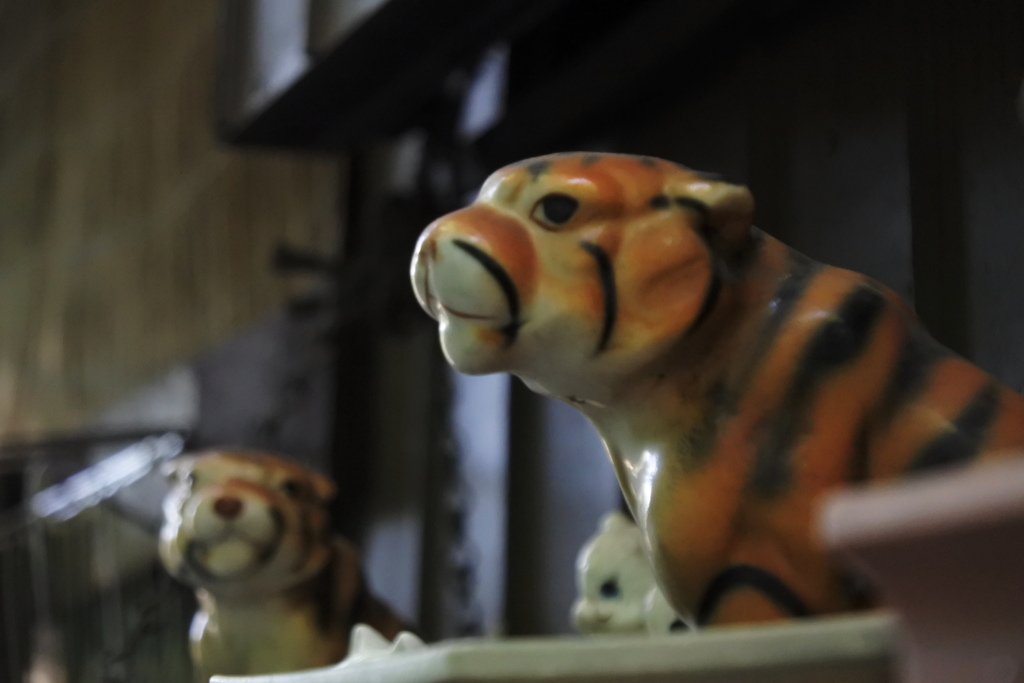 あじさい小径のトラ