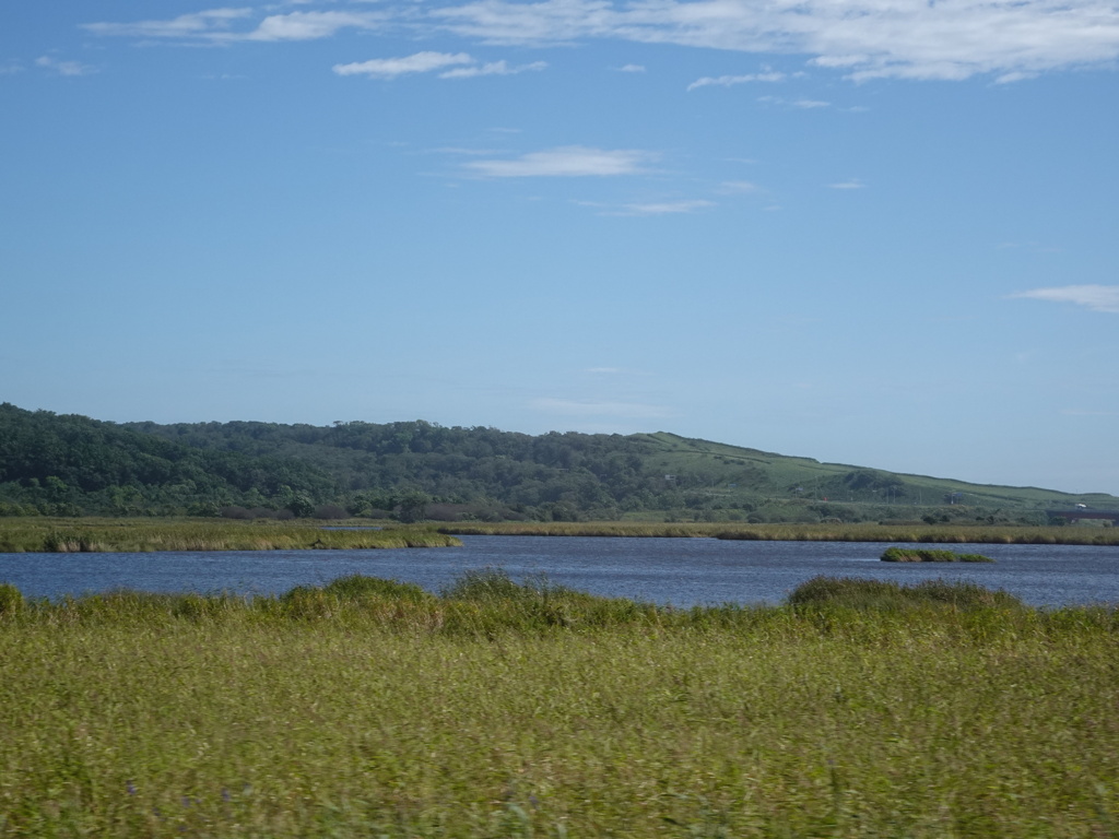 根室本線沿いにも湿原