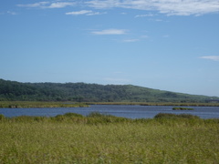根室本線沿いにも湿原