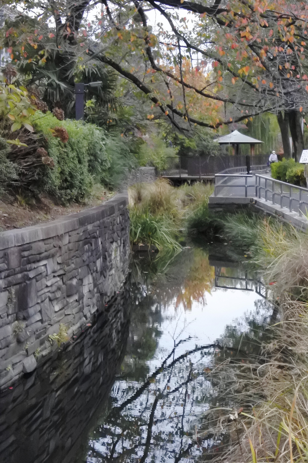 見沼代親水公園を散策