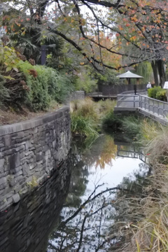 見沼代親水公園を散策