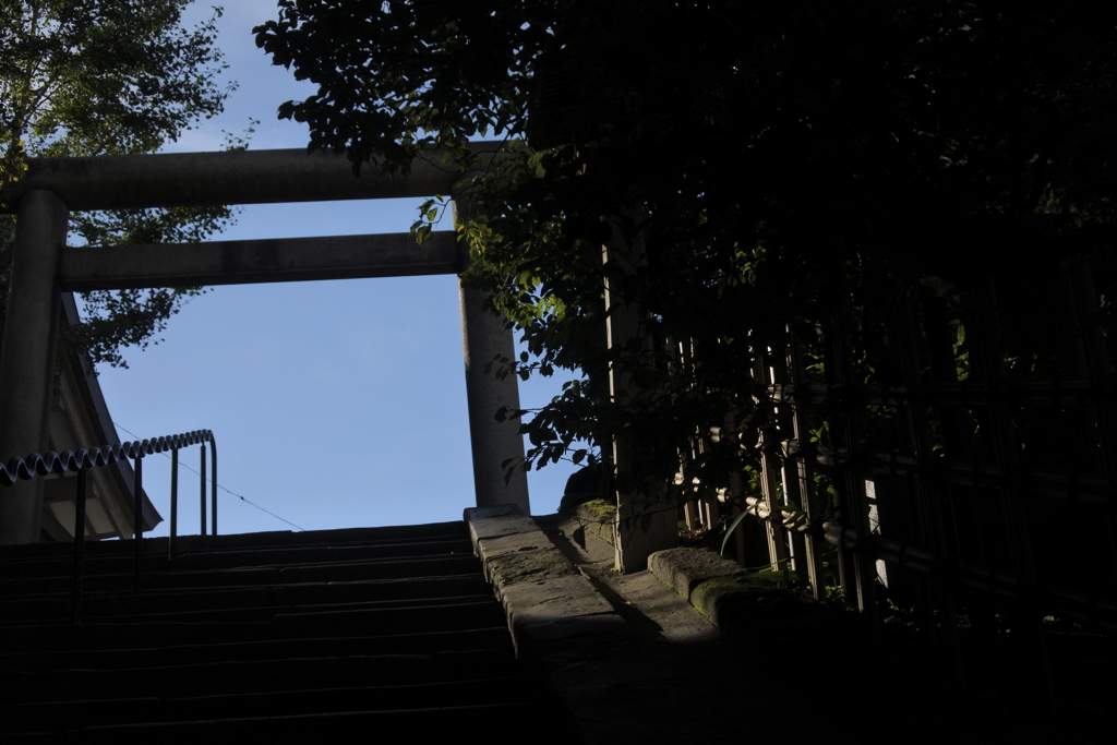 鳥居の向こうは青空