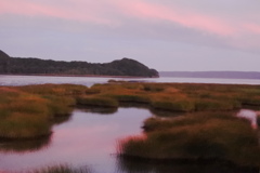 別寒辺牛湿原２