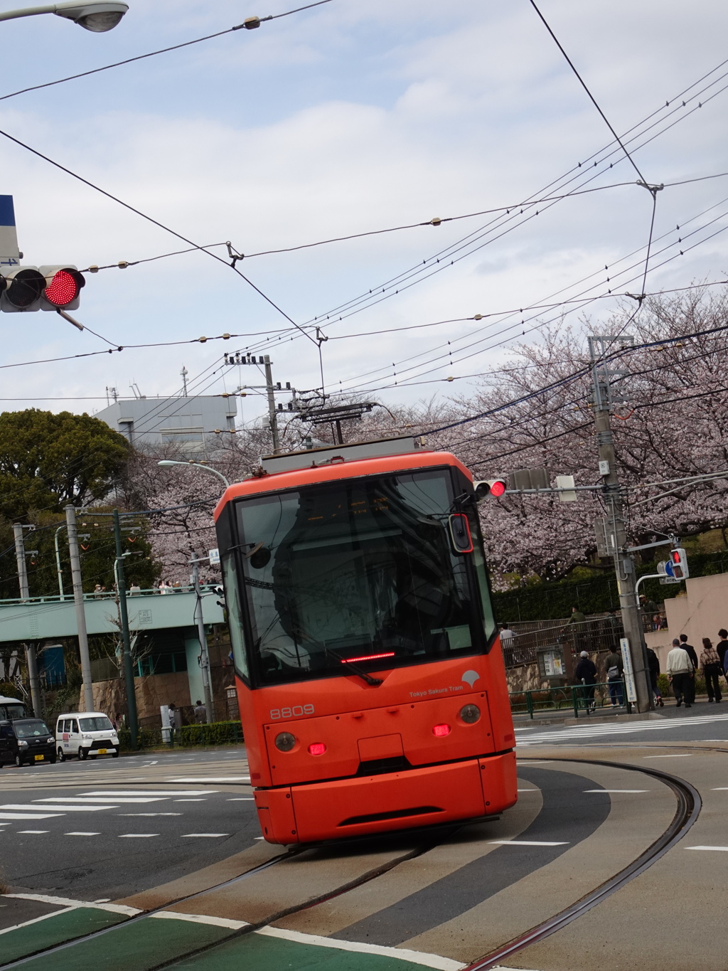 飛鳥山の桜と都電