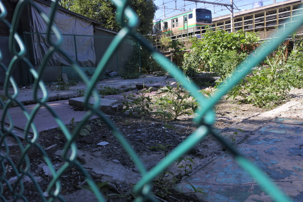 まち子がいた場所