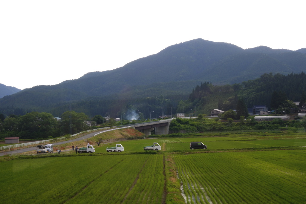 車が並んでる