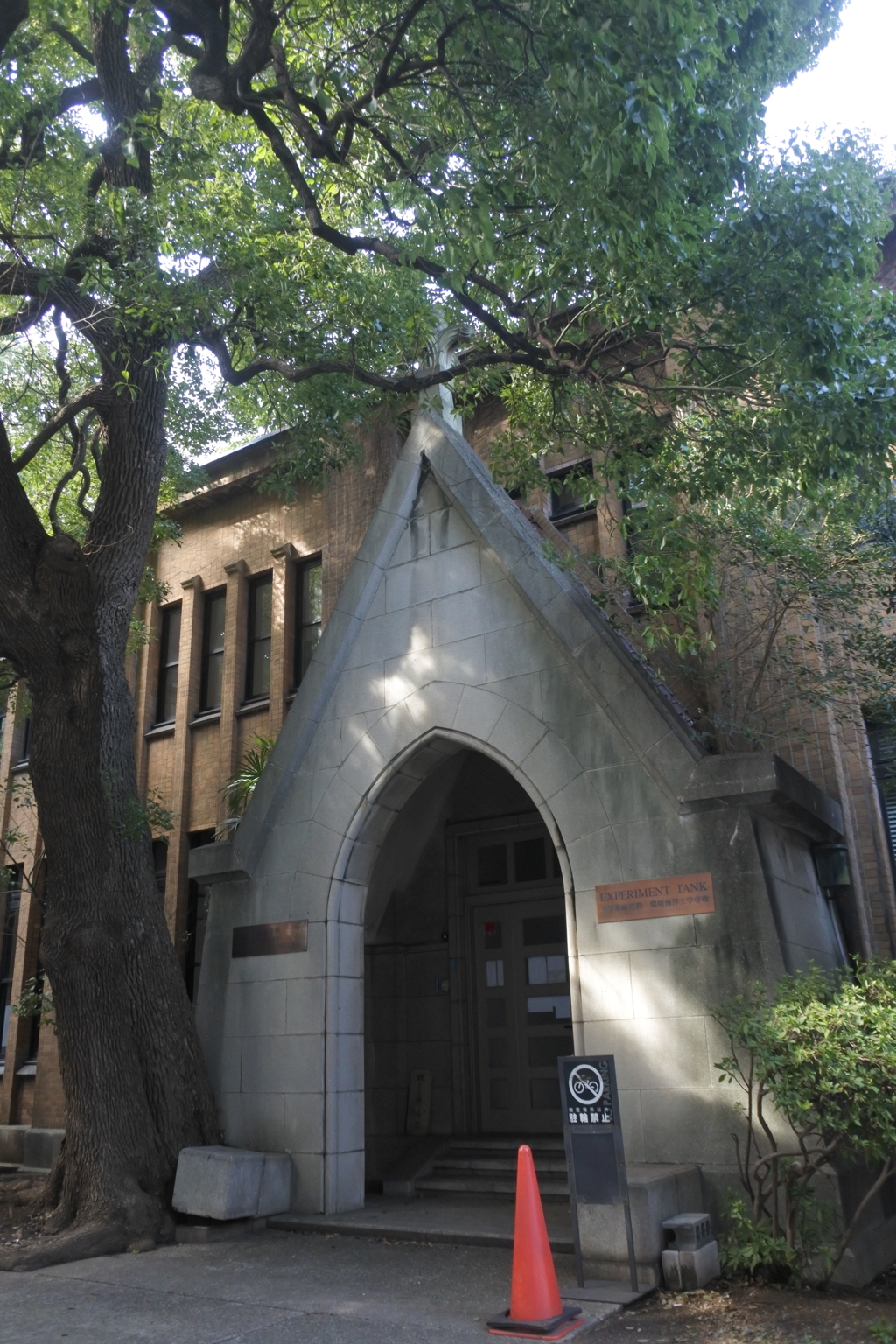 東京大学　Ⅴ