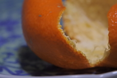 みかんの皮