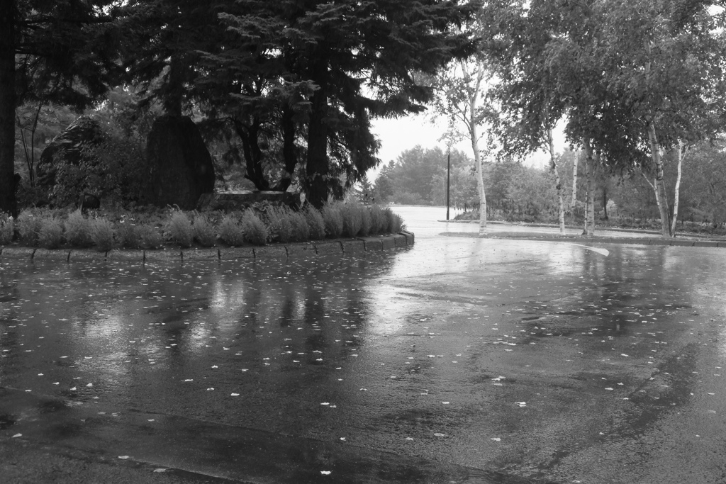 ホテルのロータリー