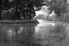 ホテルのロータリー