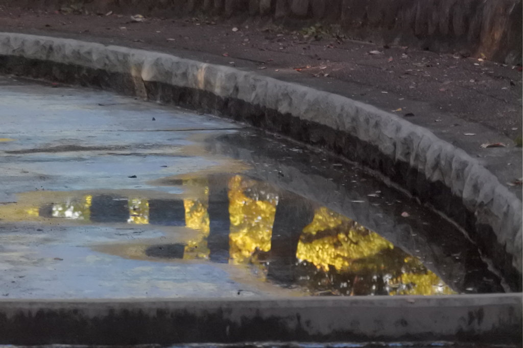 水たまり