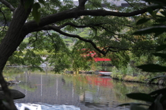 赤い橋の見える日本庭園