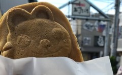 袋の中からこんにちわ