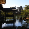 金閣寺の池