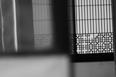 硝子戸から、　書院障子