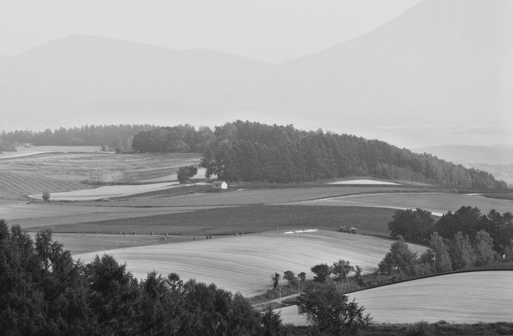 四季彩の丘～十勝の山々が