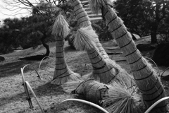 おい、しっかりしろ！傷は浅いぞ