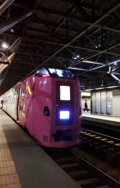 隣りは特急サロベツ