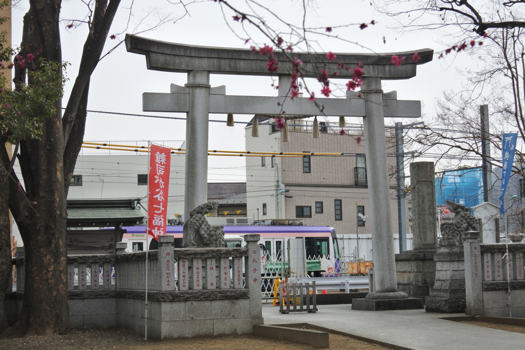 都電に乗って～都電の見える神社