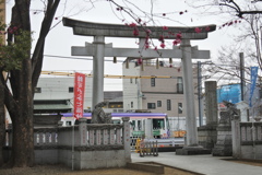 都電に乗って～都電の見える神社