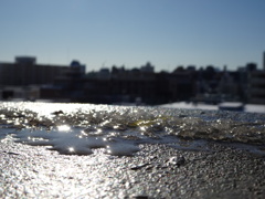 水たまりキラキラ