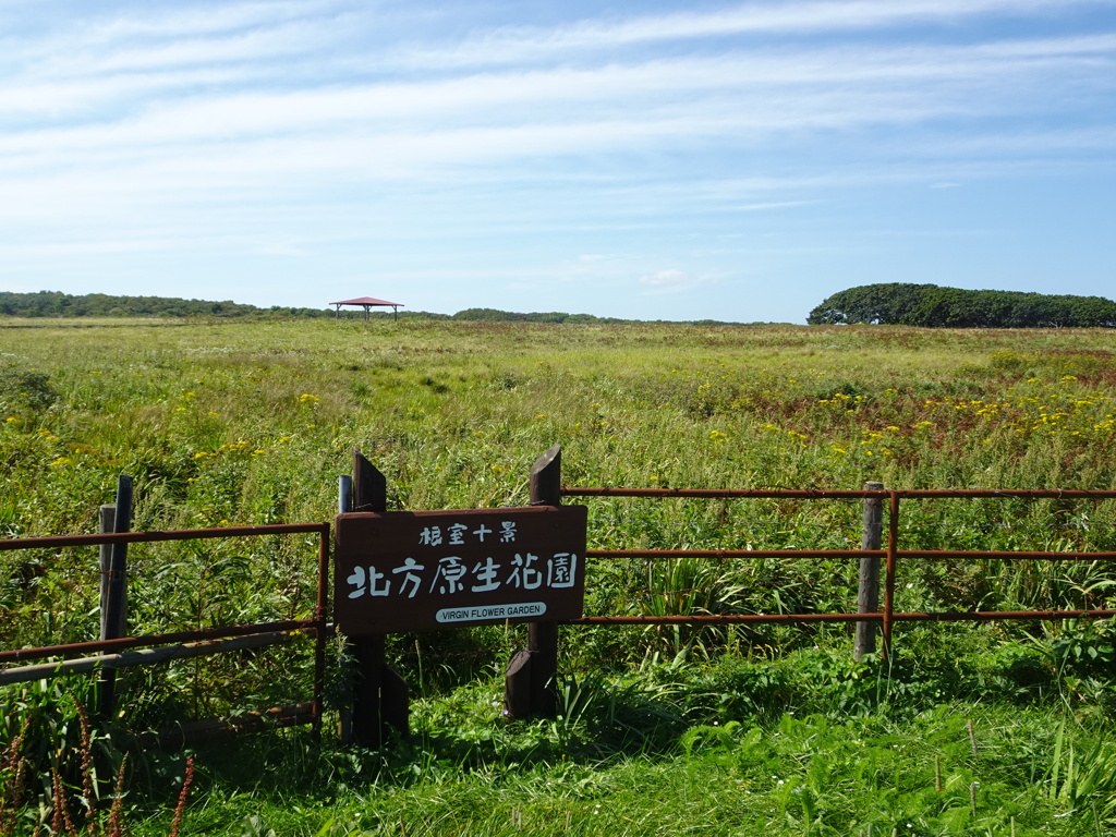 北方原生花園