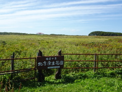 北方原生花園