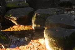 影に写る
