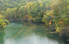 木の葉浮く空知川